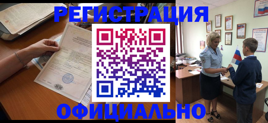 временная регистрация в квартире в Михайловке